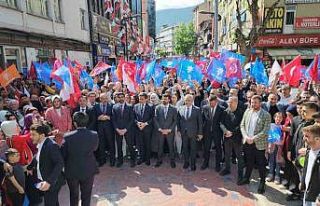 Keskinkılıç: “Oyları AK Parti’de birleştirelim”