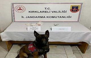 Kırklareli’nde 61 yıl kesinleşmiş hapis cezası...