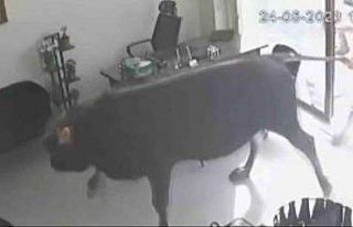 Kırklareli’nde sıcak dakikalar