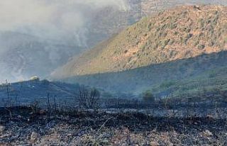 KKTC’nin Yeşilırmak köyünde yangın