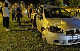 Kontrolden çıkan araç aydınlatma direği ve ağaçları...