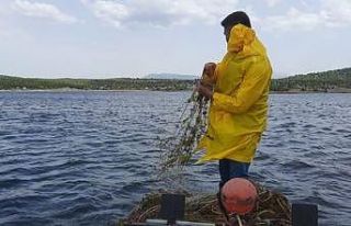 Konya’da 2 bin metre sahipsiz ağ ve elektroşok...