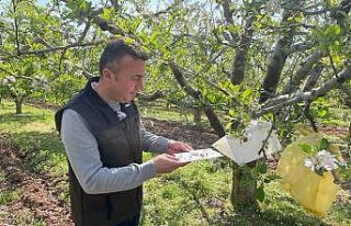 Konya’da zararlılar kameralı tuzak sistemi ile...