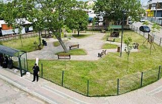 Körfez’e yeni meydan