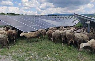 Kosova’da güneş enerjisi panellerinin temizleyicisi:...