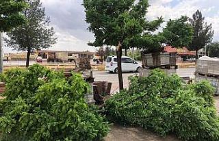 Kozluk’ta sağanak nedeniyle dereler taştı, ağaçlar...