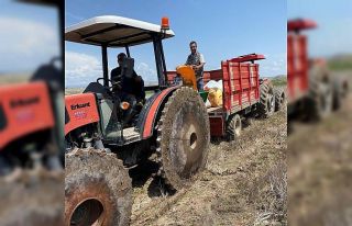 Kula’da çeltik ekimi başladı