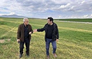 Kulu’da ekilen mahsuller incelendi