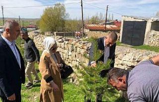 Küpeli köyünde fidanlar toprakla buluştu