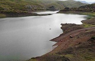 Kuraklığı fırsata çevirmişlerdi: İlkbaharla...