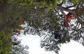 Kurtarma ekipleri ağaçlardan paraşütçü topluyor