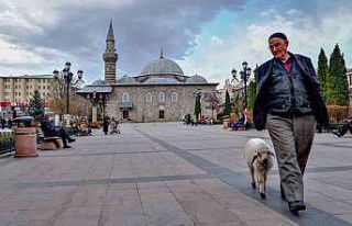 ‘Kuzulu Dede’ kuzusuyla cadde turunda