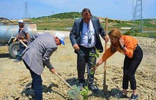 Lapseki’de ağaçlandırma çalışması