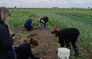 Lüleburgaz’da salep üretimi umut veriyor
