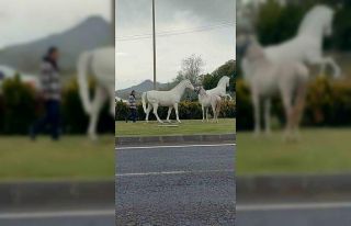 Maketini gerçek sandı, dakikalarca oynadı