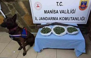 Manisa Jandarması uyuşturucu tacirlerine göz açtırmıyor