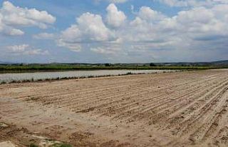 Manisa’da sel felaketi tarım arazilerini vurdu