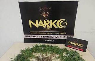 Manisa’da uyuşturucu operasyonu