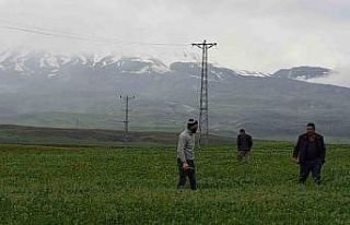 Mayıs ayında kar yağdı, vatandaş yeniden soba...