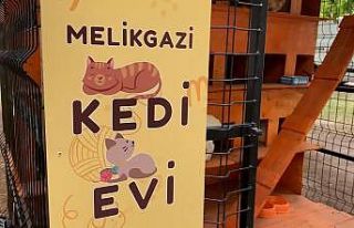 Melikgazi sokaklardaki can dostlar için kedi evleri...