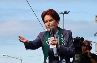 Meral Akşener: “Fındığa 4 doların altında...