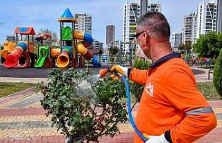 Mersin Büyükşehir Belediyesi ekipleri sahipsiz...