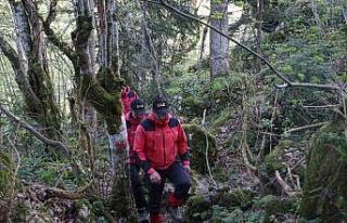 Milli parkta kaybolan vatandaş 14 gün sonra sığındığı...