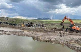 Minik Enes, ineğini kurtarmaya çalışırken gölette...