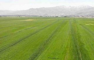 Muş, 1,8 milyon dolar ile ihracatını en çok artıran...