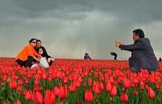 Muş’ta 15 günlük lale devri başladı