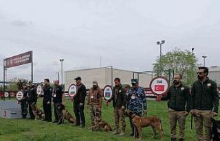 Narkotik Dedektör Köpekler Yarışması’nda Türkiye’yi...
