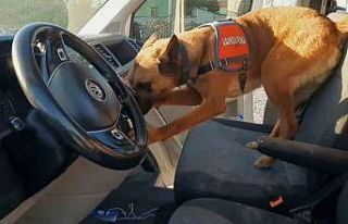 Narkotik köpeği ’Yalman’ vites kutusundaki uyuşturucuyu...