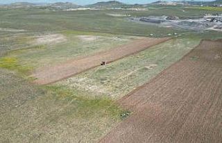 Nevşehir Belediyesi Tarımsal Faaliyetlerine başladı