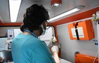 O ilçede artık sokak hayvanlarına yerinde müdahale...