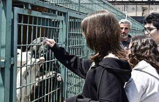 Öğrenciler, Esenyurt Belediyesi’nin Modern Hayvan...