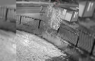 Ölüm yaşlı çifti bir adımla böyle ayırdı