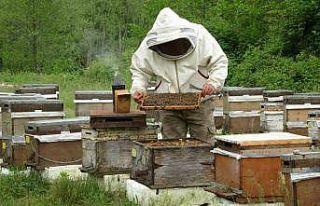 Ordulu arıcılar sezonu açtı