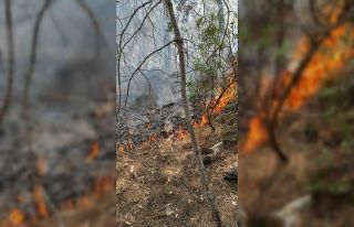 Ormanlık alanda çıkan yangın büyümeden kontrol...