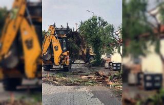 Ortaca’da ‘Temiz çevre’ çalışmaları sürüyor