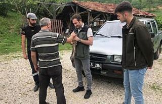 Otların arasında bulunan yavru karaca koruma altına...