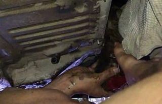 Otomobile giren yavru kediyi turizm çalışanları...