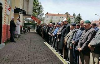 Oy kullandıktan sonra dönüş yolunda hayatını...