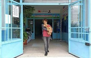 Oy kullanmaya köpeğiyle geldi