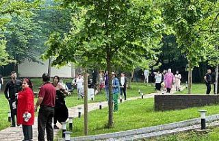 Oylarını kullanıp pikniğe koştular