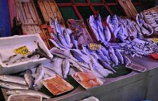 (ÖZEL) Balık tezgâhlarındaki bollaşması bekleniyor