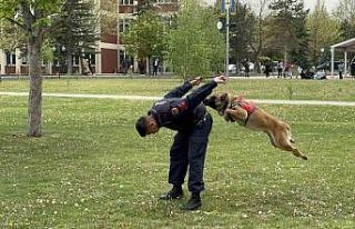 (ÖZEL) Jandarmanın sevimli kahramanları fuarda...