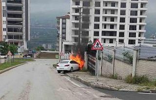 Park halindeki otomobil hareket edip direğe çarparak...