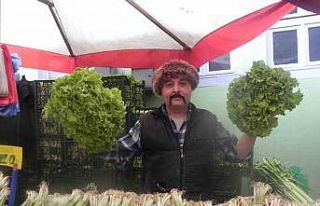 Perşembe pazarında ucuz satılan yeşilliğe bile...