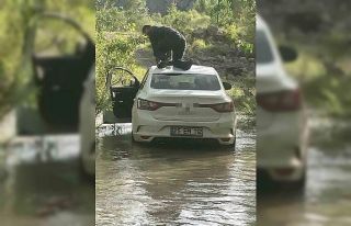 Pikniğe gittiler, baraj sularının altında kaldılar