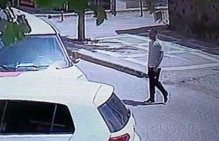 Pişkin hırsız herkesin gözü önünde kargo aracındaki...